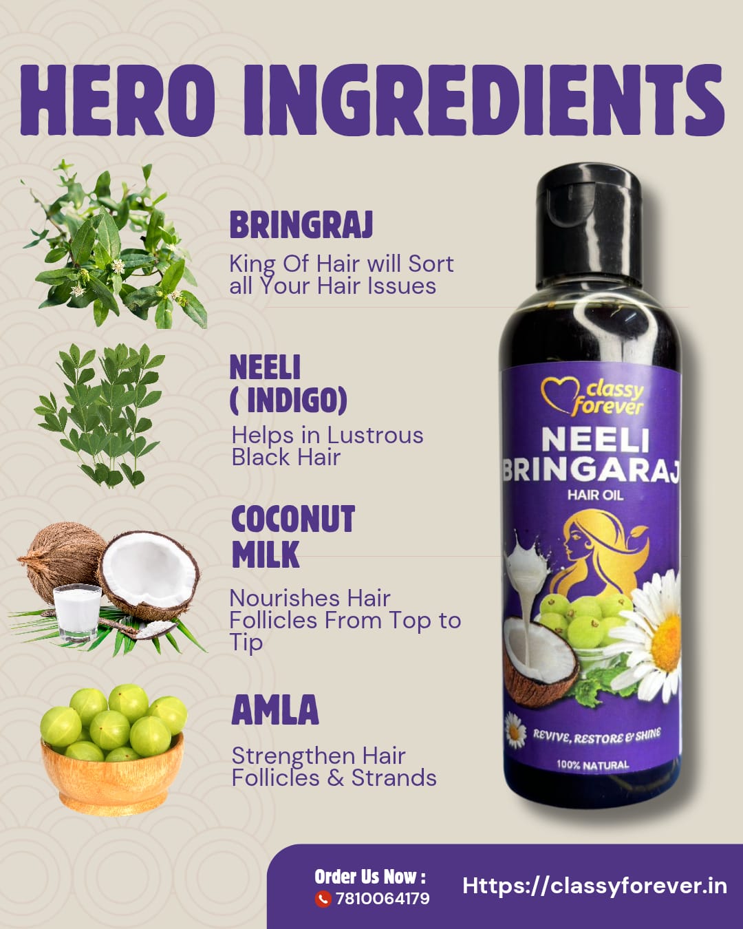 WhatsApp Image 2025-11-27 at 8.28.11 PM (2)